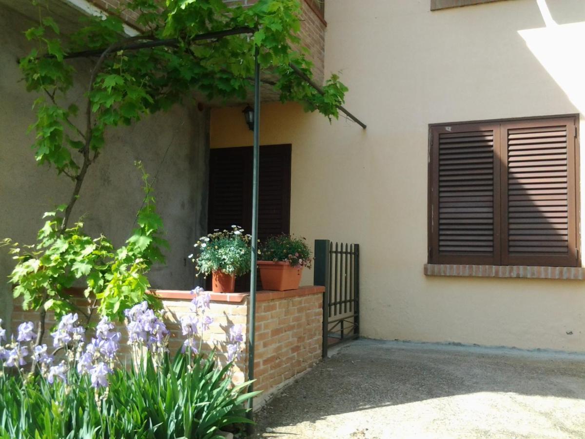 Appartamento In Collina "La Perla" Riparbella Extérieur photo